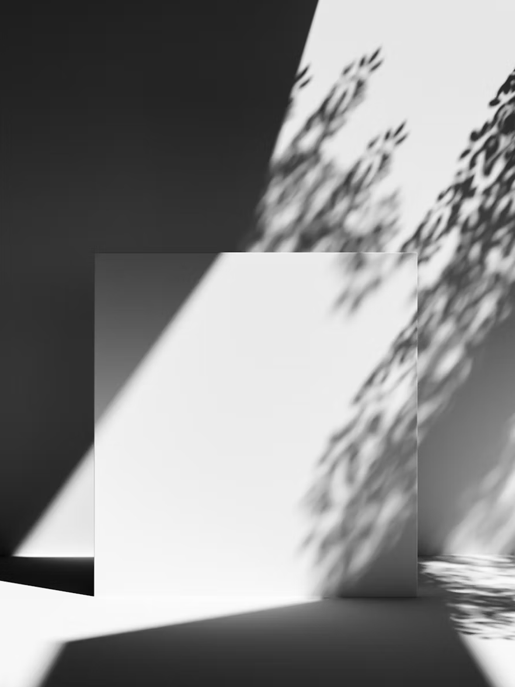 Segmentation Strategy